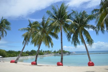 Best Time To Visit Cebu