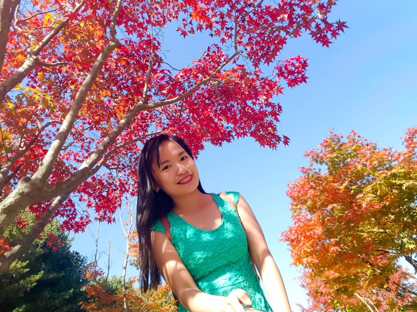 Nami Island.jpg