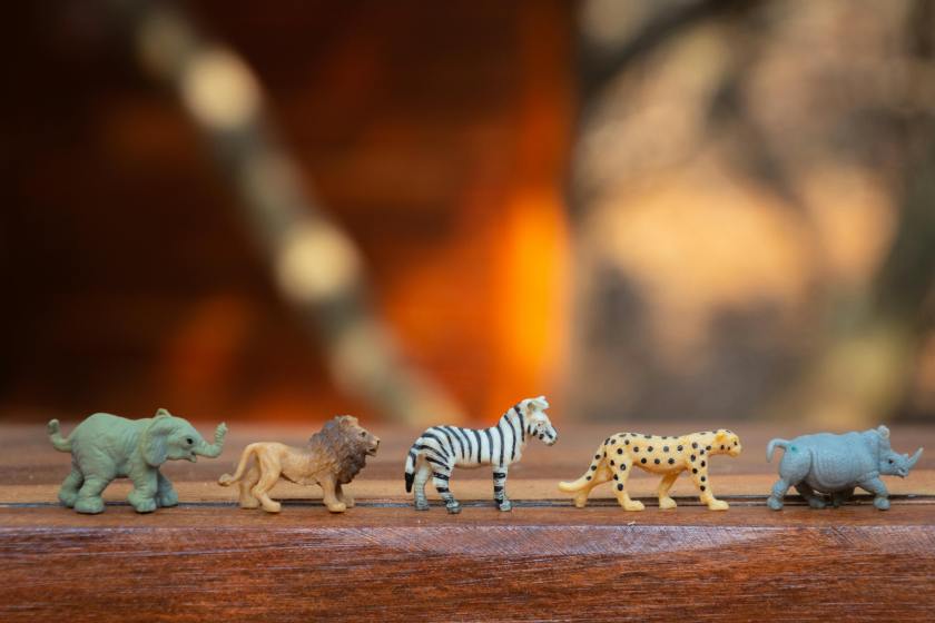 Why we’re obsessed with tiny things
